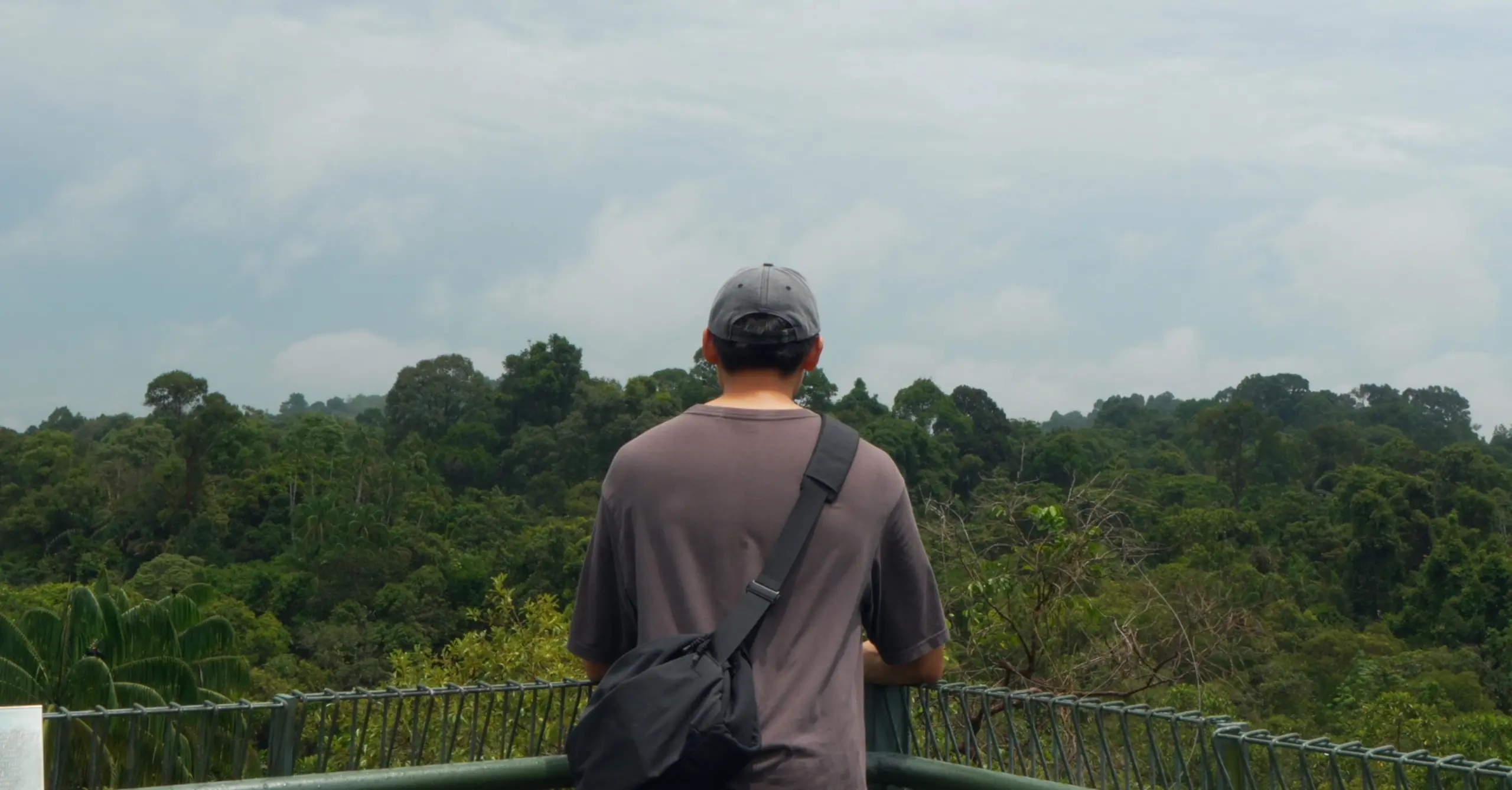 Back view of a person looking over a lush jungle towards the horizon under blue skies.